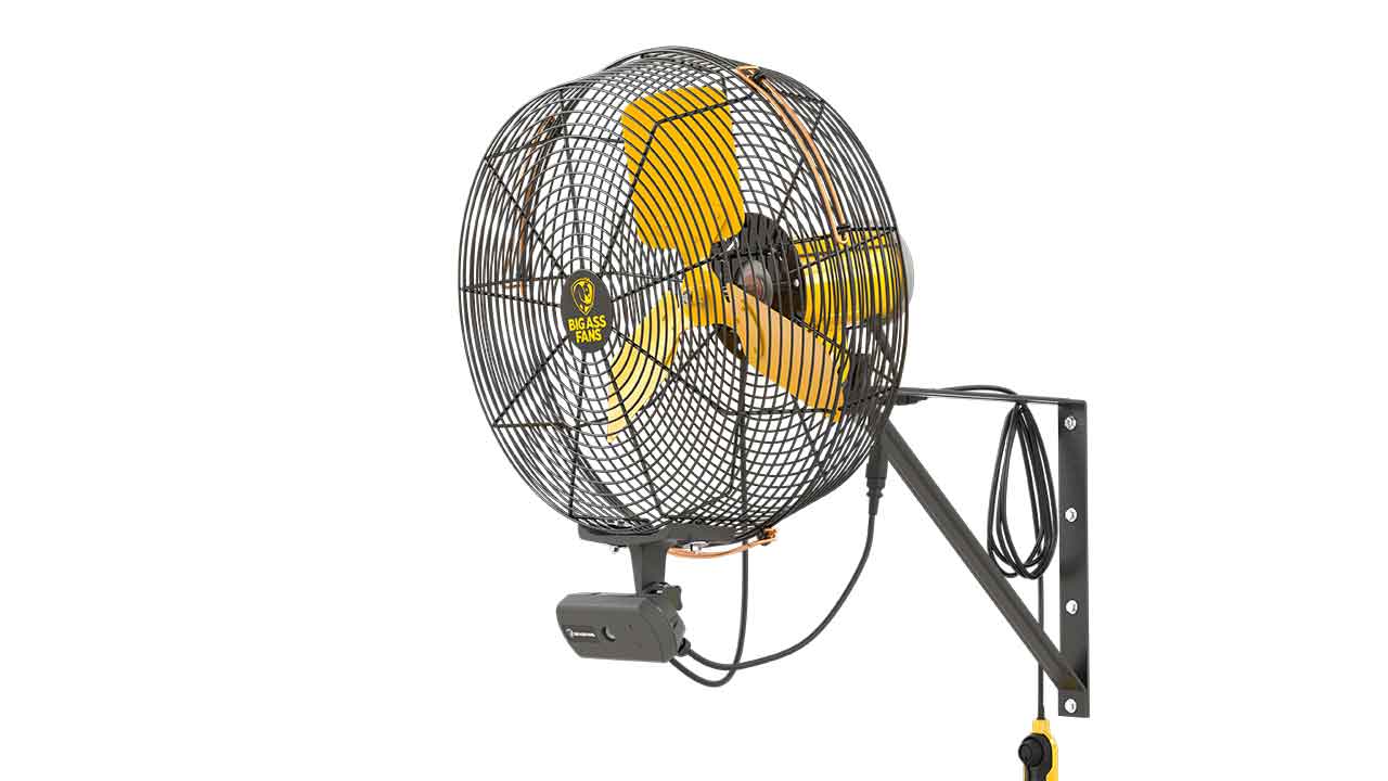 AirEye - High-Tech Pedestal Fan - Big Ass Fans®